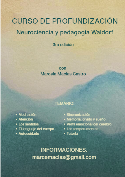 Curso de profundización
