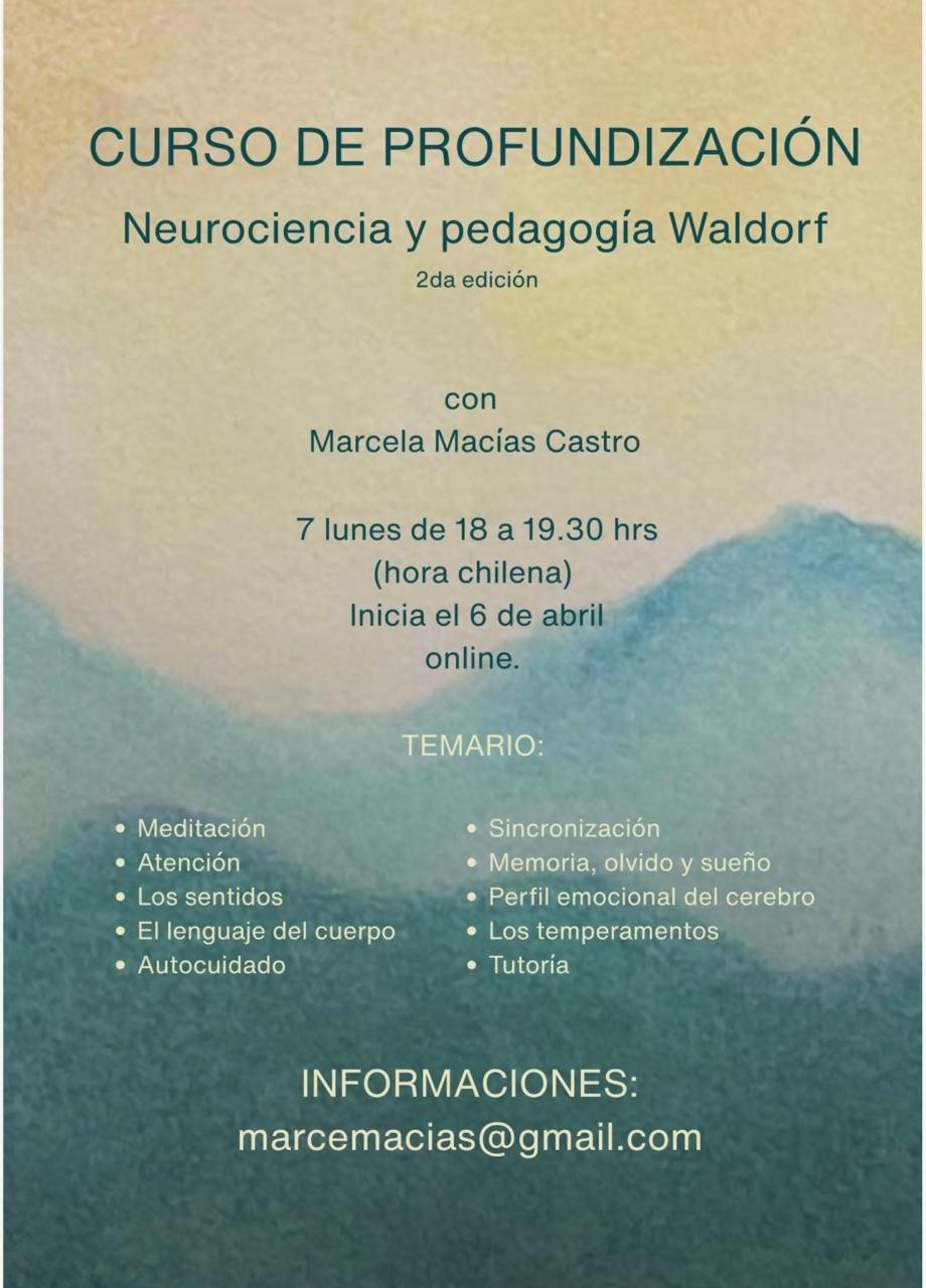 2da edición del curso de Neurociencia y pedagogía Waldorf.
